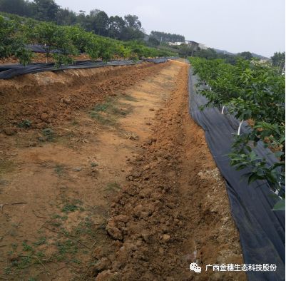 微信圖片_20200327115241.jpg