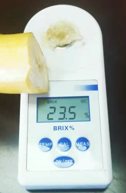 圖片2.png
